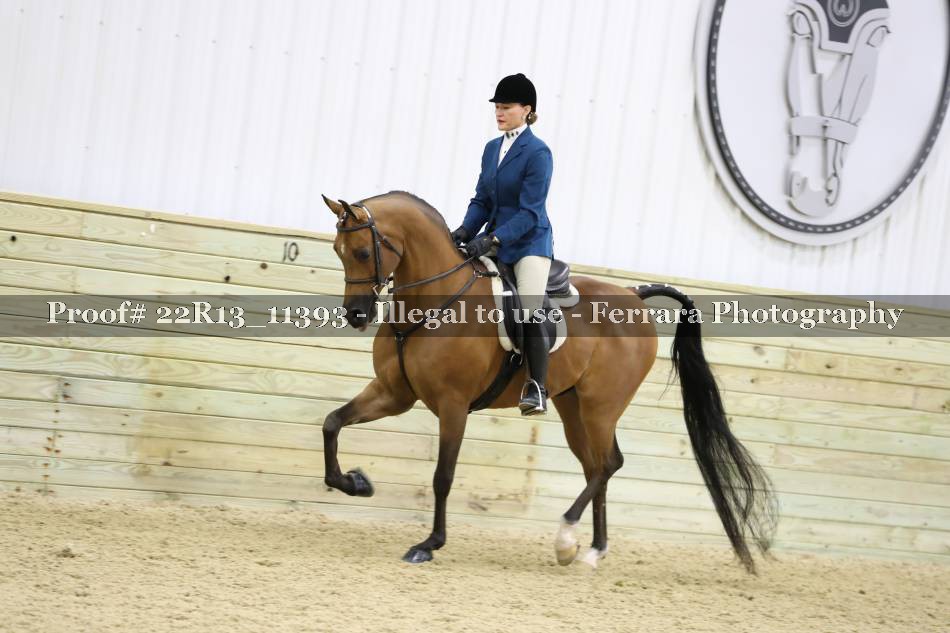 Proof 22R13_11393