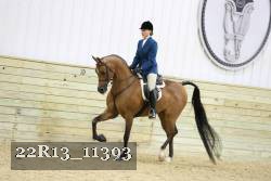 22R13_11393 proof