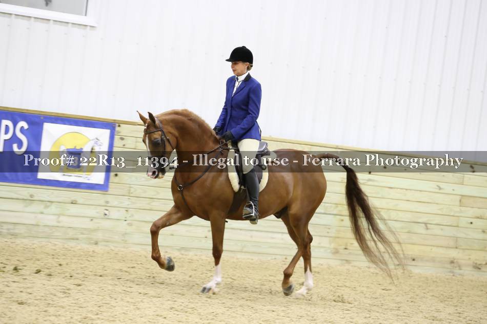 Proof 22R13_11394