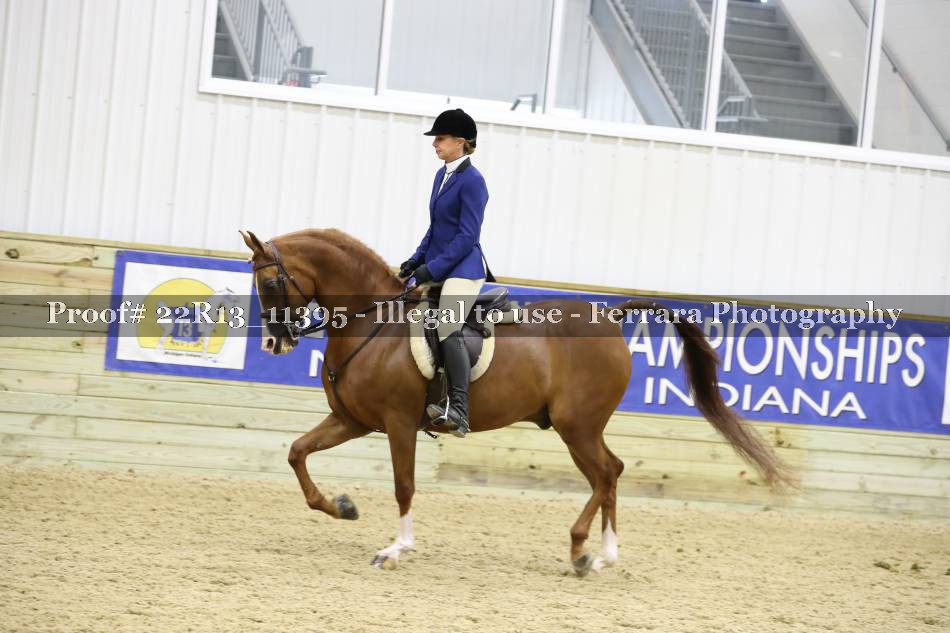 Proof 22R13_11395