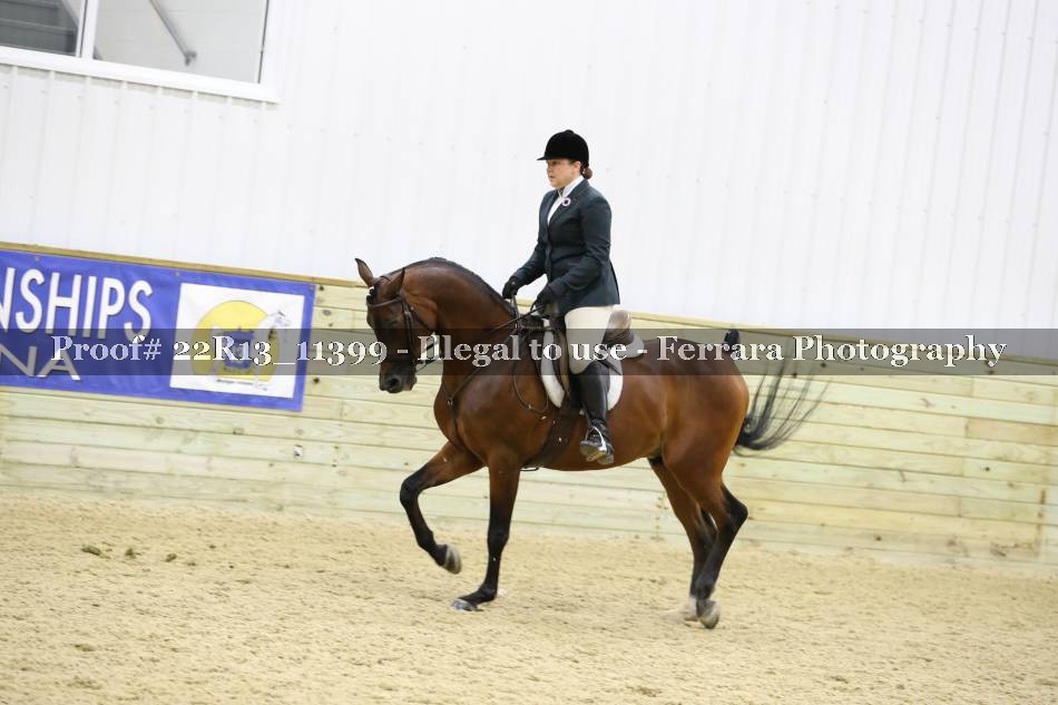 Proof 22R13_11399