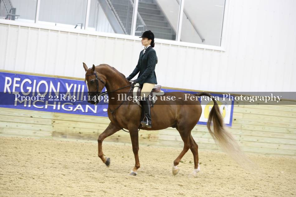Proof 22R13_11403