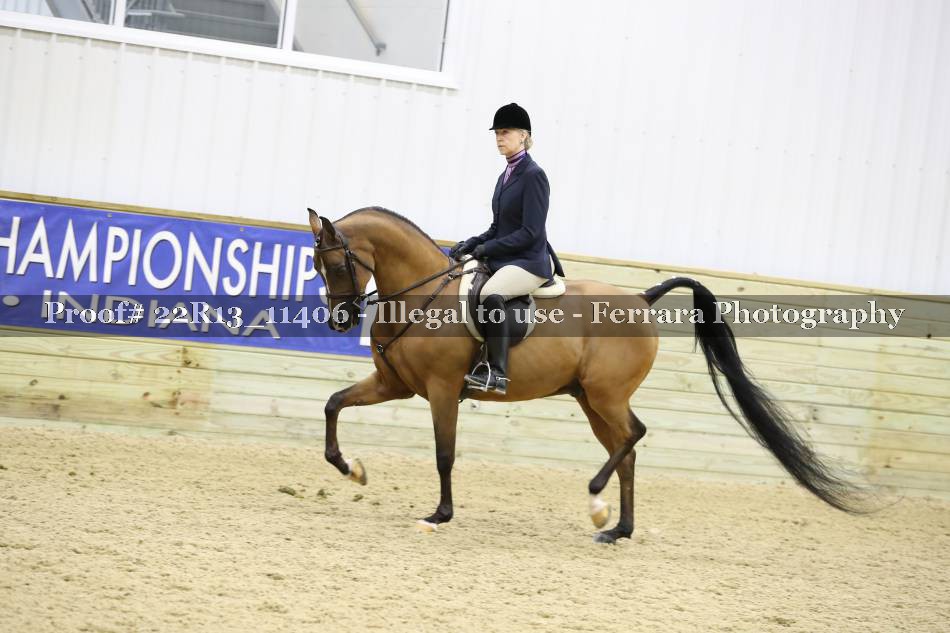 Proof 22R13_11406