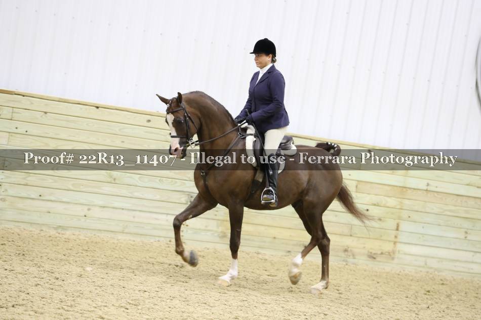 Proof 22R13_11407