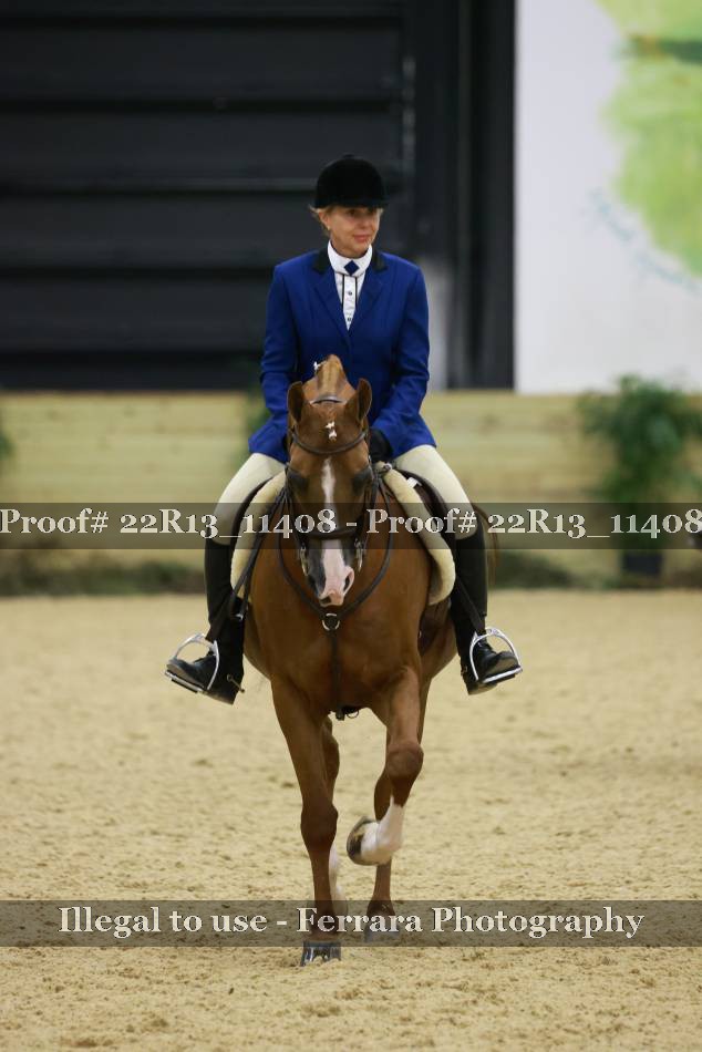 Proof 22R13_11408