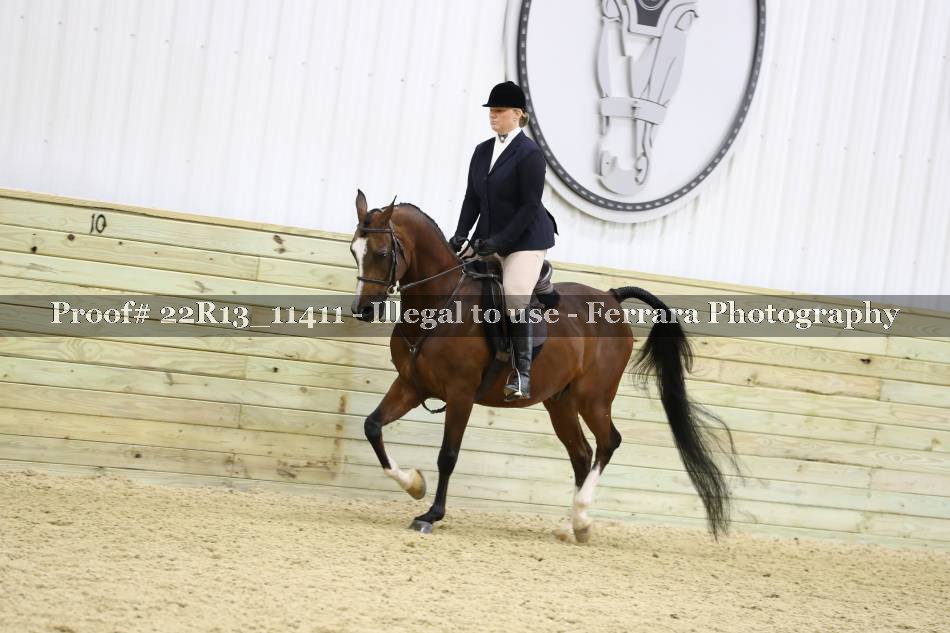 Proof 22R13_11411