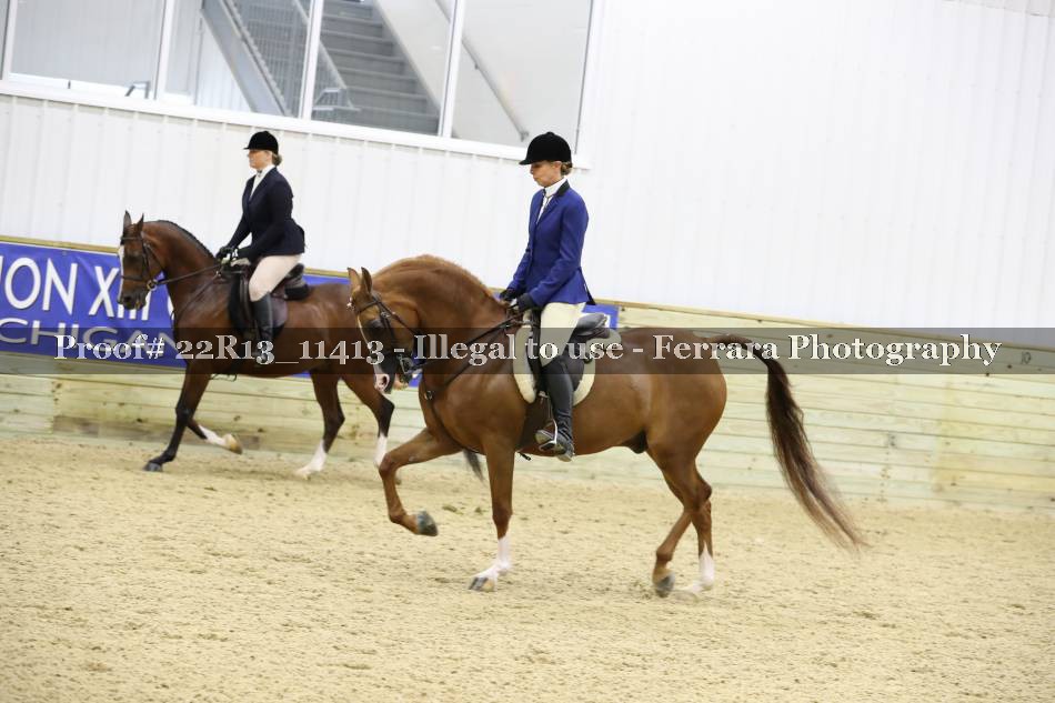 Proof 22R13_11413