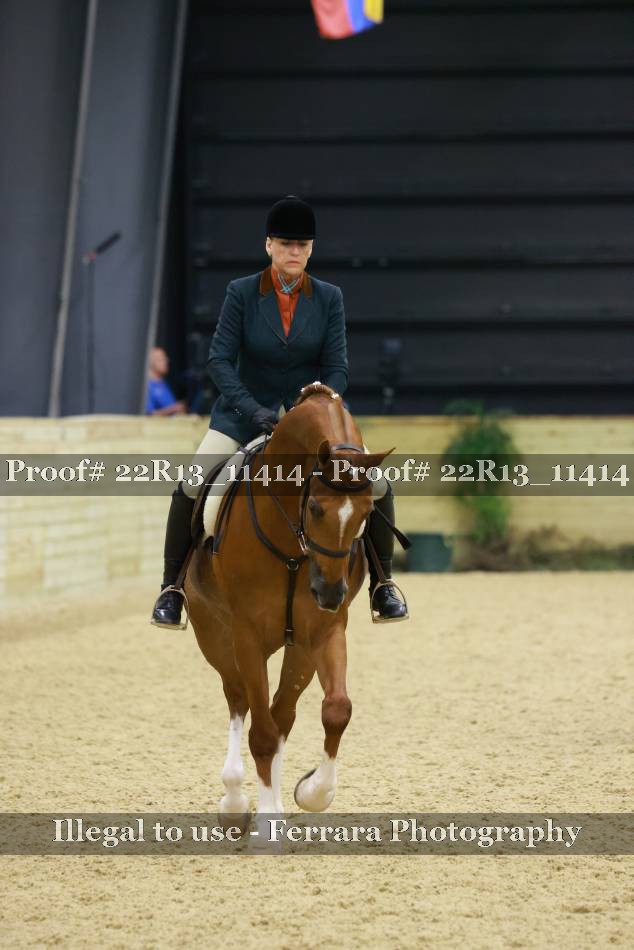 Proof 22R13_11414