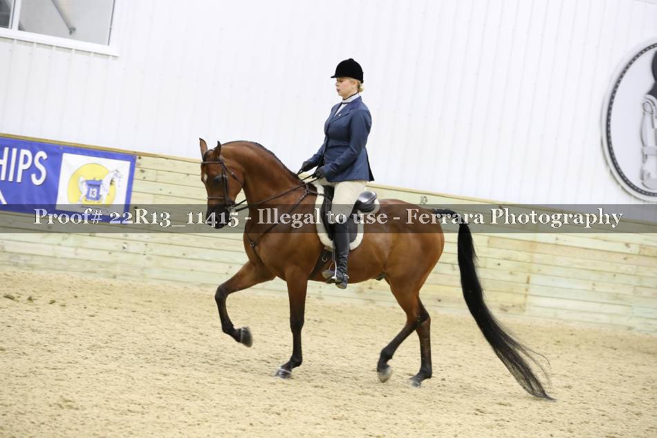 Proof 22R13_11415