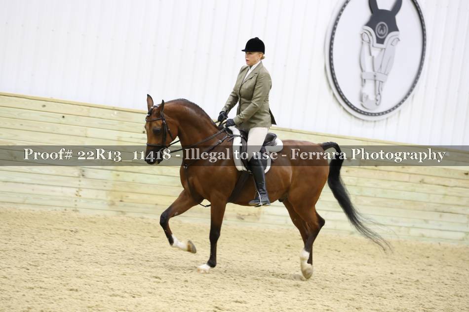 Proof 22R13_11418