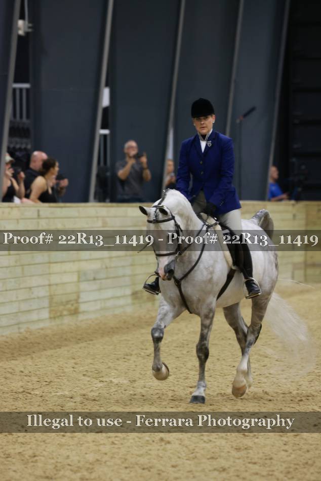 Proof 22R13_11419