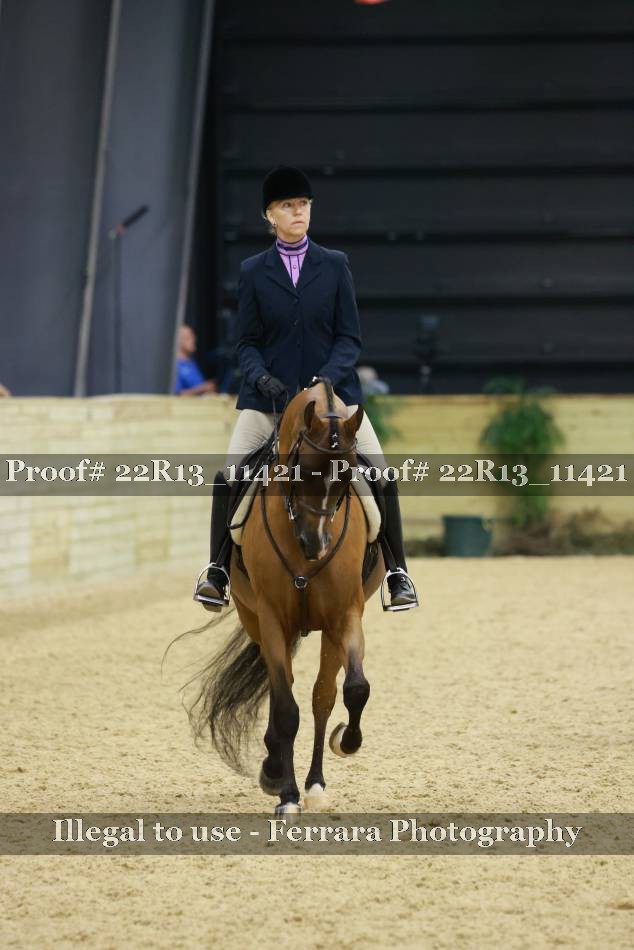 Proof 22R13_11421