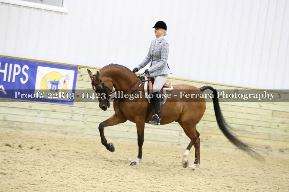 Proof 22R13_11423