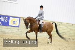 22R13_11423 proof