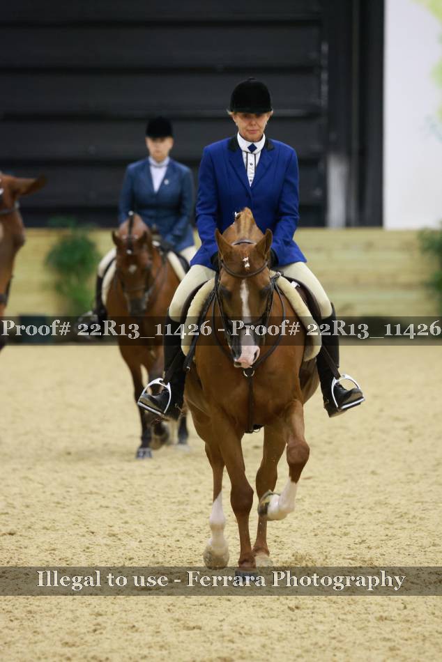 Proof 22R13_11426