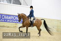 22R13_11431 proof