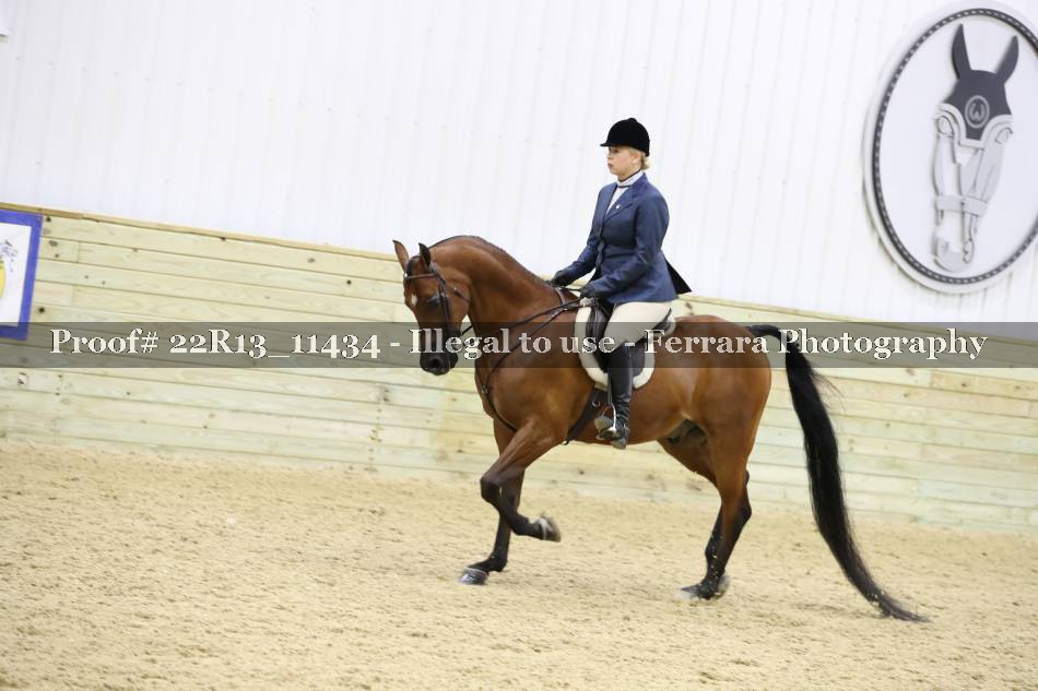 Proof 22R13_11434