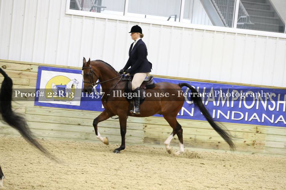 Proof 22R13_11437
