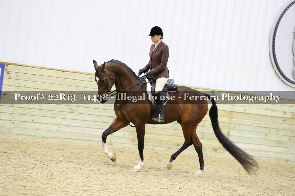 Proof 22R13_11438
