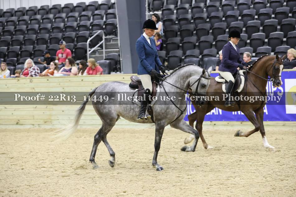 Proof 22R13_11449