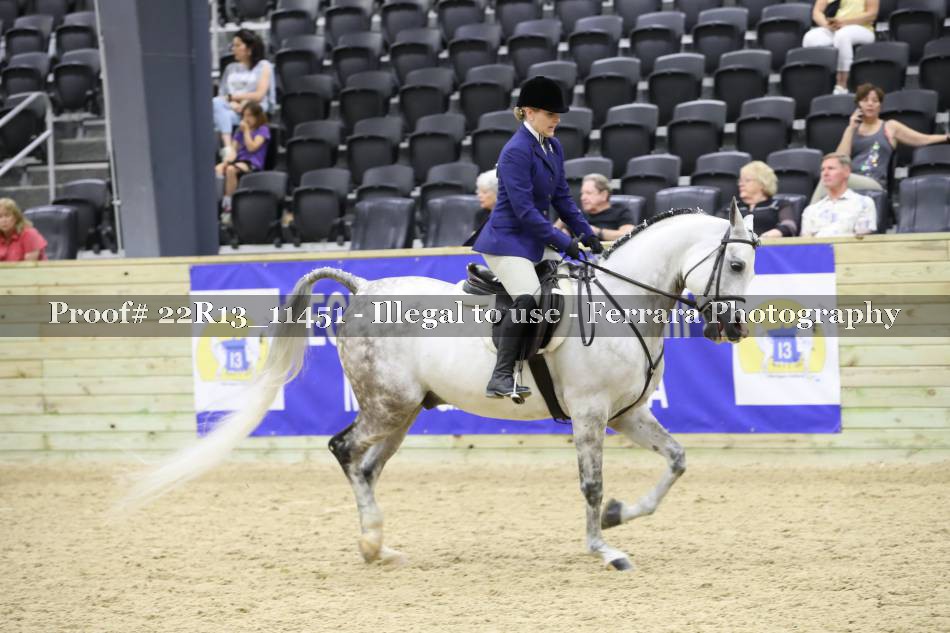 Proof 22R13_11451