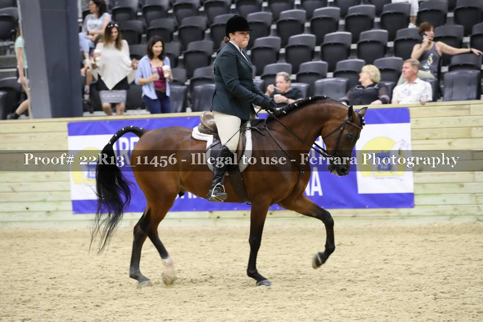 Proof 22R13_11456