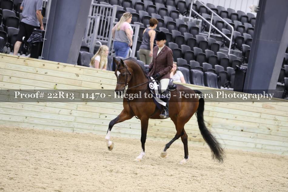 Proof 22R13_11470