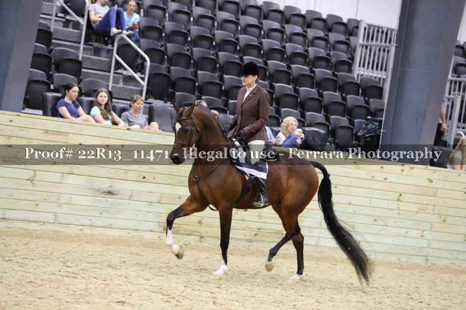 Proof 22R13_11471