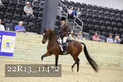 22R13_11472 proof