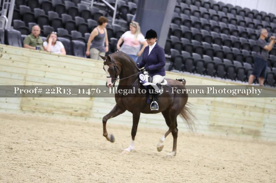 Proof 22R13_11476