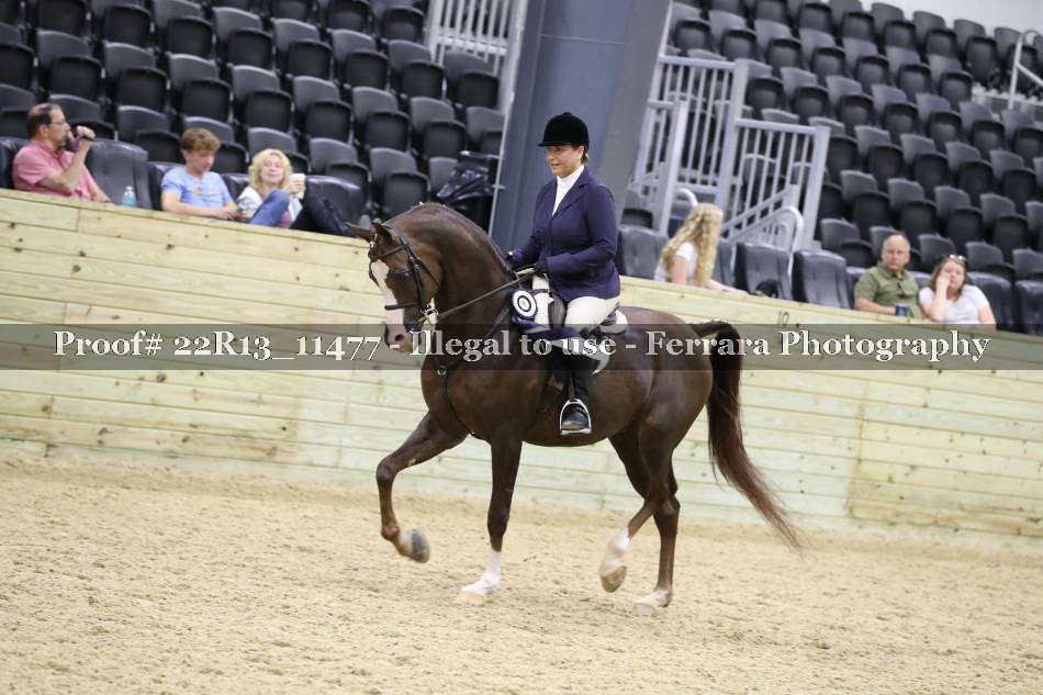 Proof 22R13_11477