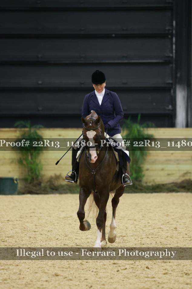 Proof 22R13_11480
