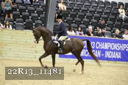 22R13_11481 proof