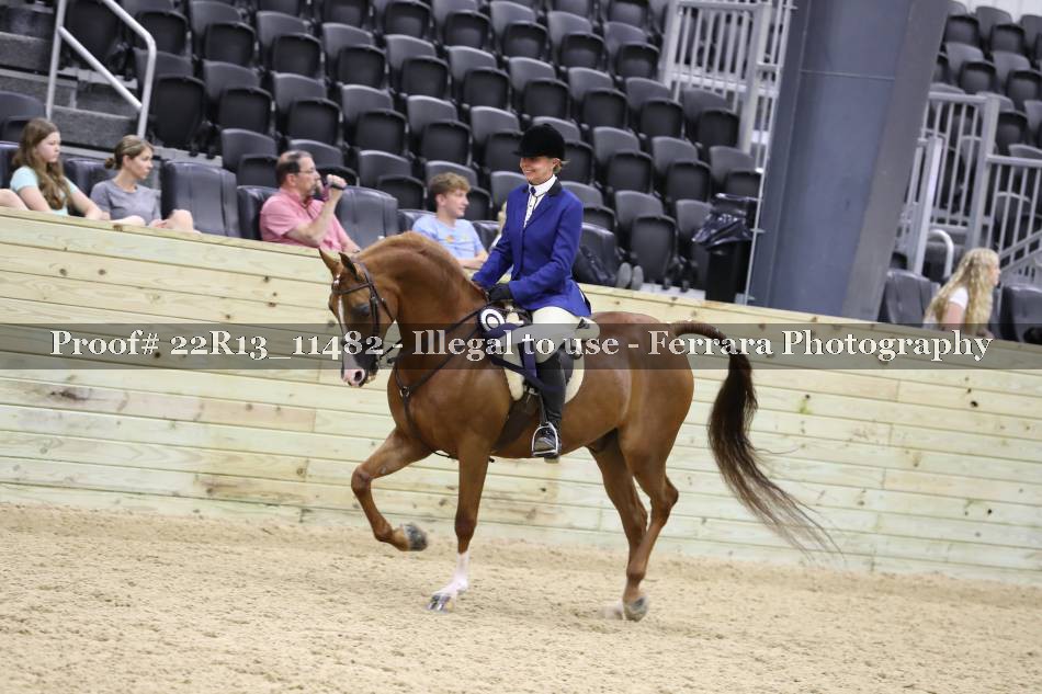 Proof 22R13_11482