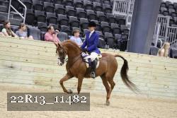 22R13_11482 proof