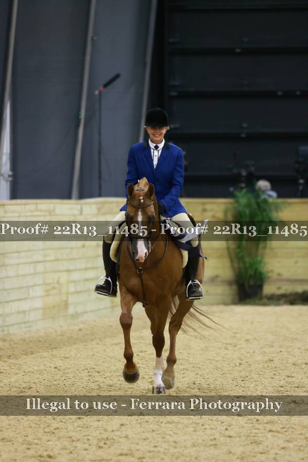 Proof 22R13_11485