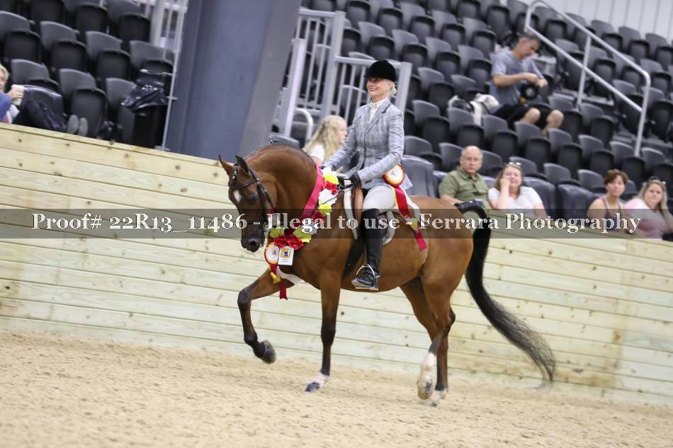 Proof 22R13_11486