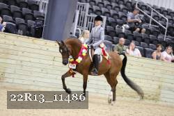 22R13_11486 proof