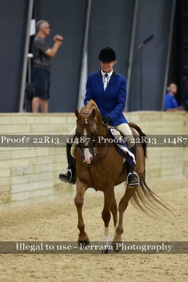 Proof 22R13_11487