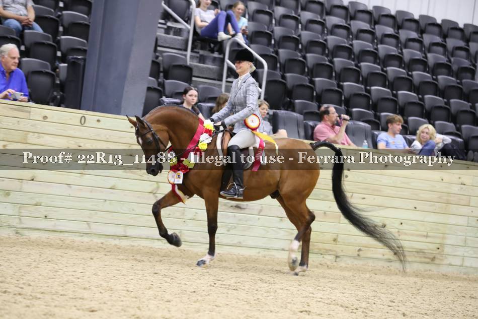 Proof 22R13_11488