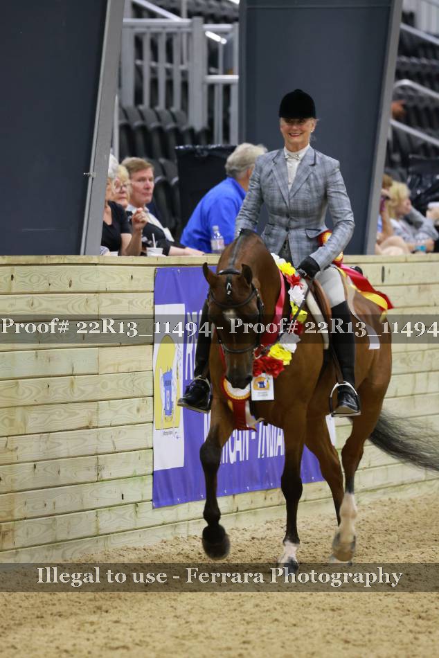 Proof 22R13_11494