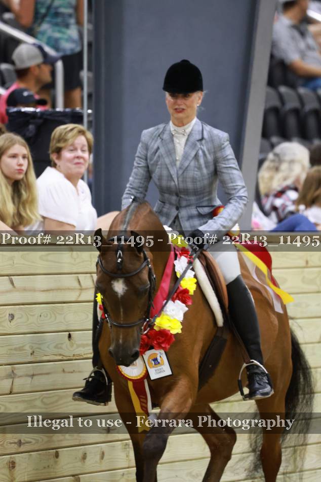Proof 22R13_11495