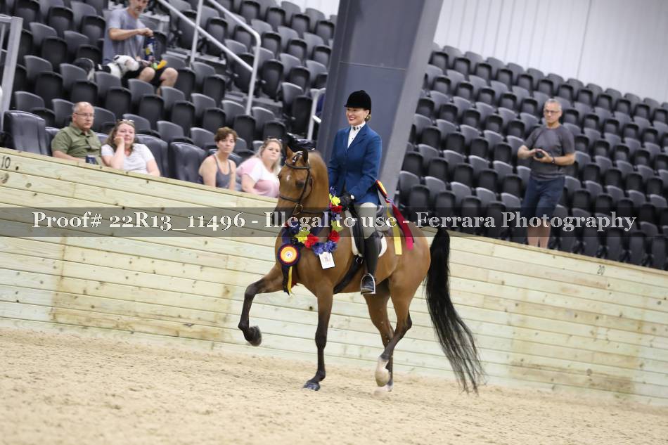 Proof 22R13_11496