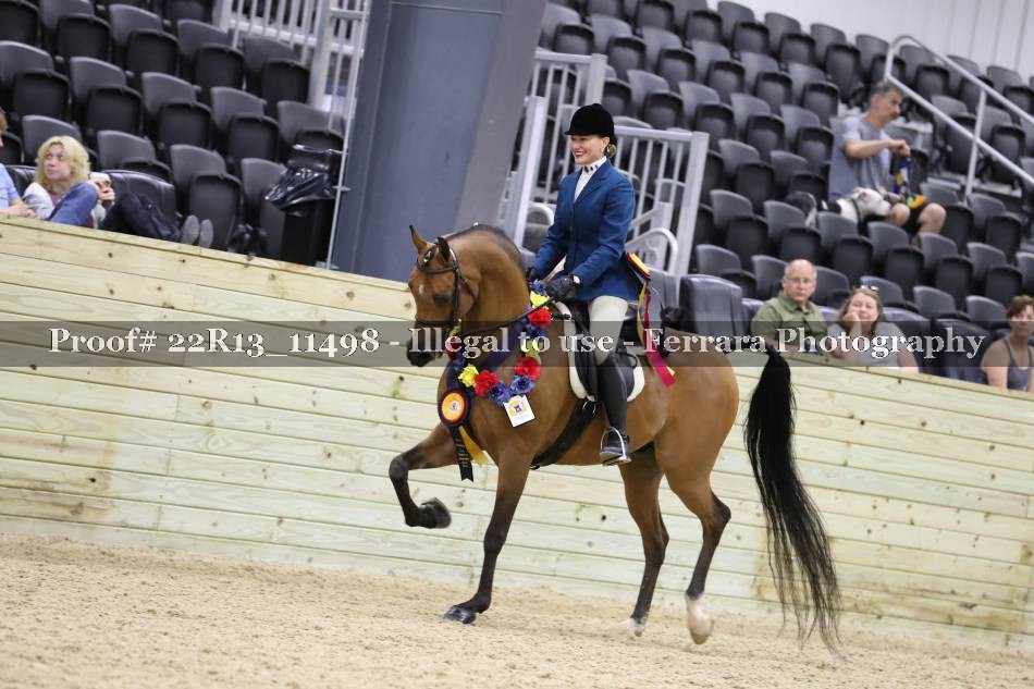 Proof 22R13_11498