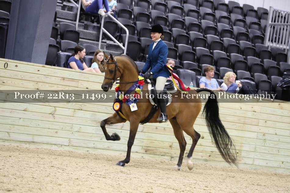 Proof 22R13_11499