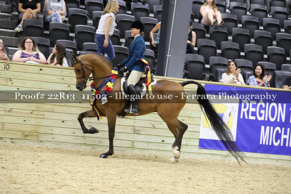 Proof 22R13_11502