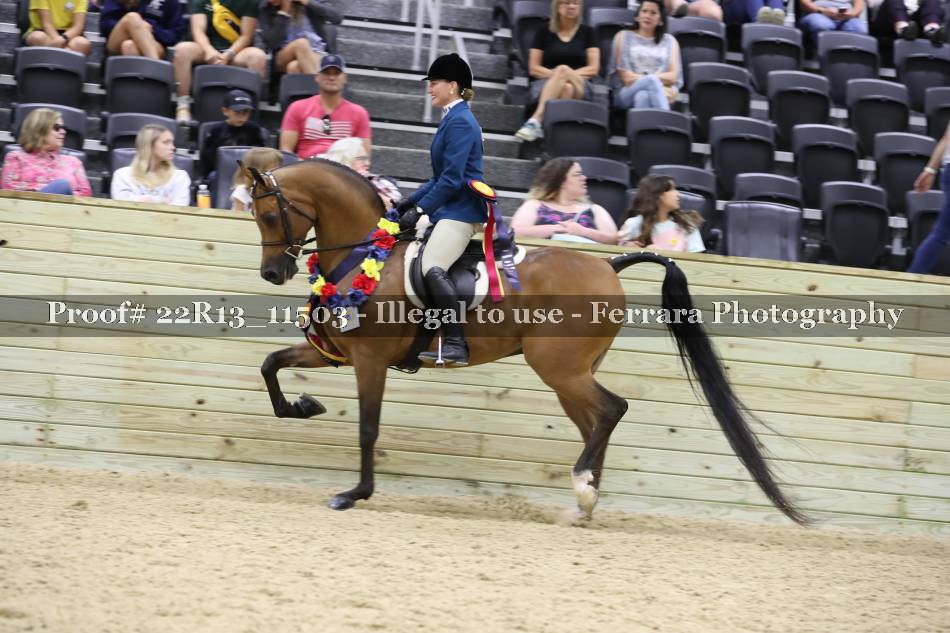 Proof 22R13_11503