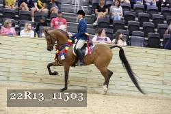 22R13_11503 proof