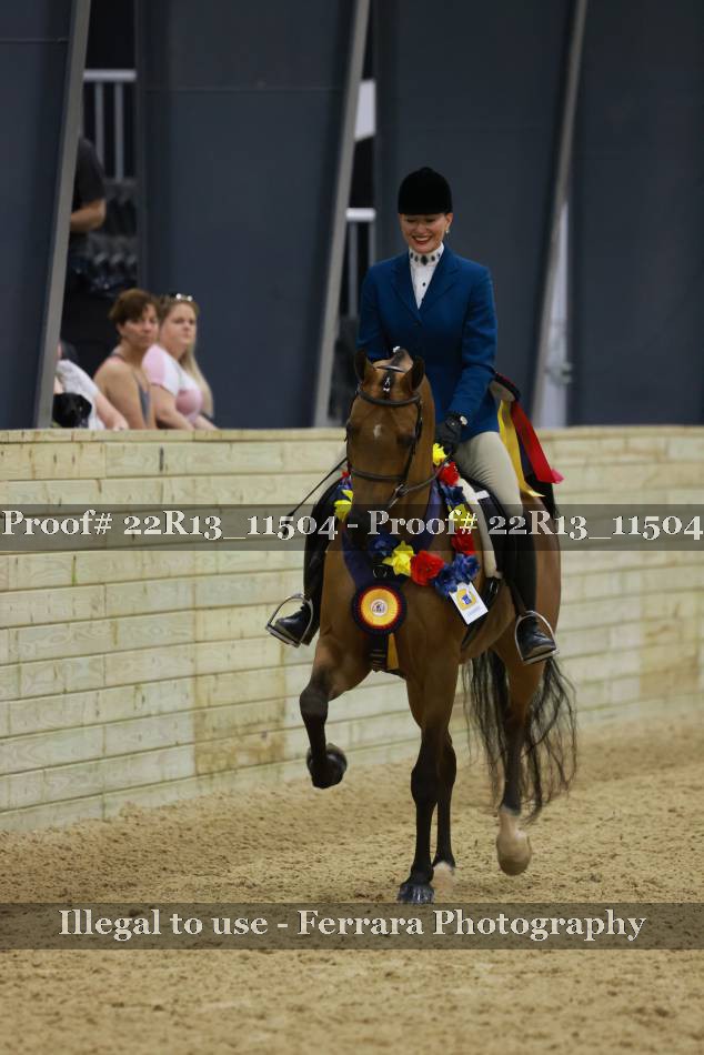 Proof 22R13_11504
