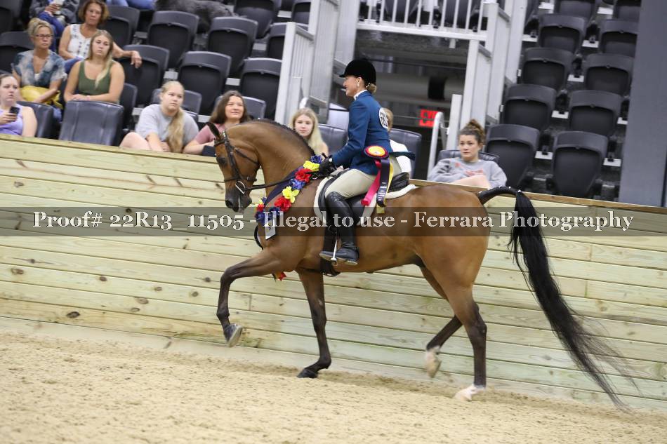 Proof 22R13_11505